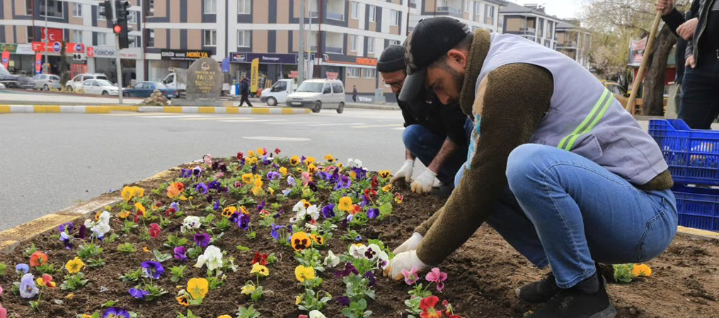 Erzincan’da Baharın Müjdecisi Çiçekler Toprakla Buluşuyor