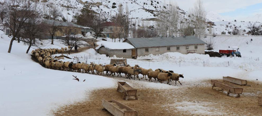 Besicilerin Kar Üzerindeki Zorlu Mesaileri Başladı