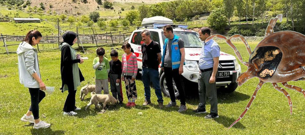 Doğada Bulunurken Kene Popülâsyonuna Dikkat!