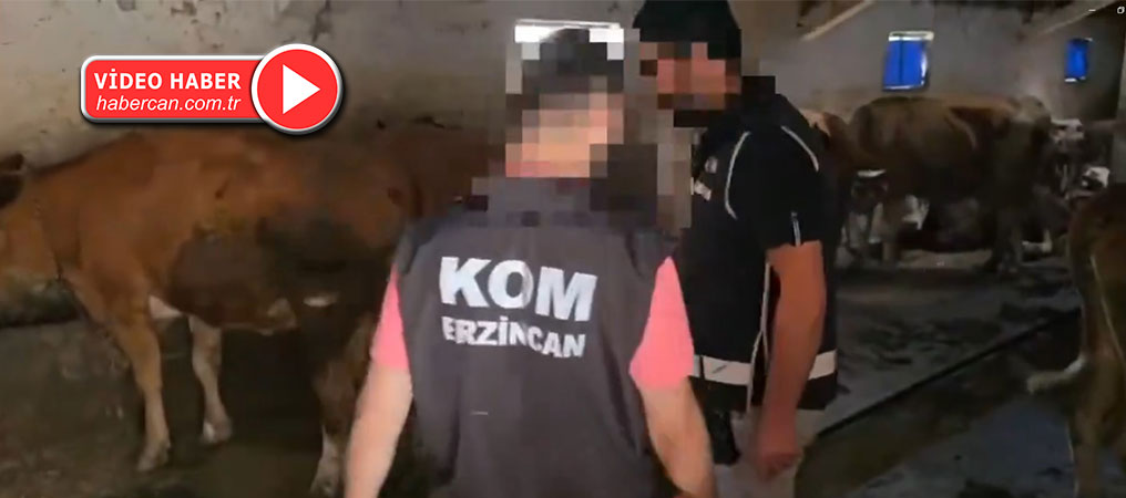 Erzincan Merkezli 14 İlde Kurban Dolandırıcılarına Operasyon: 8 Gözaltı