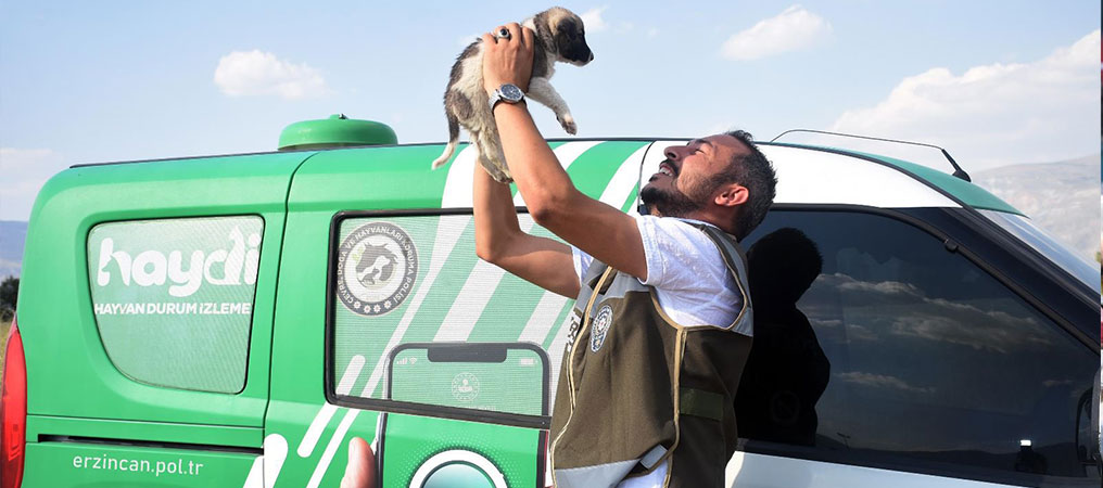 Erzincan Sokaklarındaki Canlar Haydi Polisi'ne Emanet