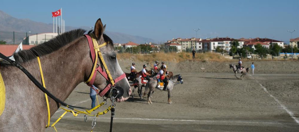 Erzincan’da Ata Sporu Cirit Heyecanı