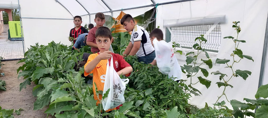 Erzincan’da “Okuldaki Çiftlik” Üretime Başladı