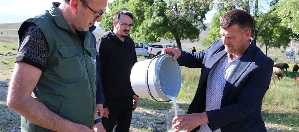 Erzincan’ın Tescilli Tulum Peynirinde Standartlaşma Çalışmaları Sürüyor