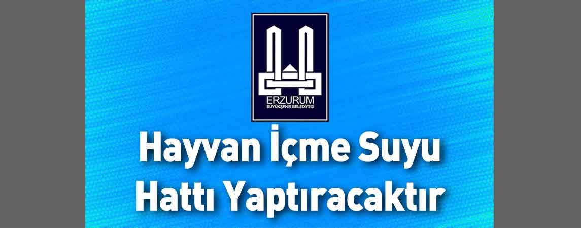 Erzurum Büyükşehir Belediyesi Hayvan İçme Suyu Hattı Yaptıracaktır