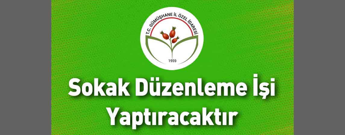 Gümüşhane İl Özel İdaresi Sokak Düzenleme İşi Yaptıracaktır