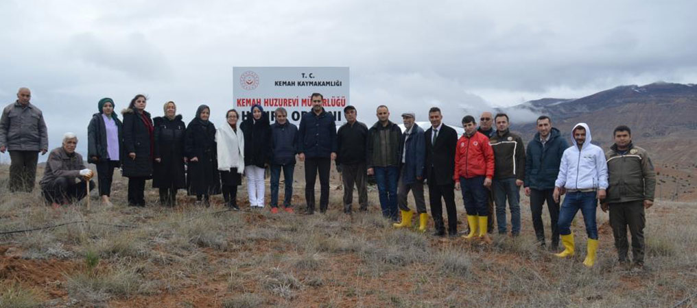 Kemah’ta Fidan Dikim Etkinliği Düzenlendi