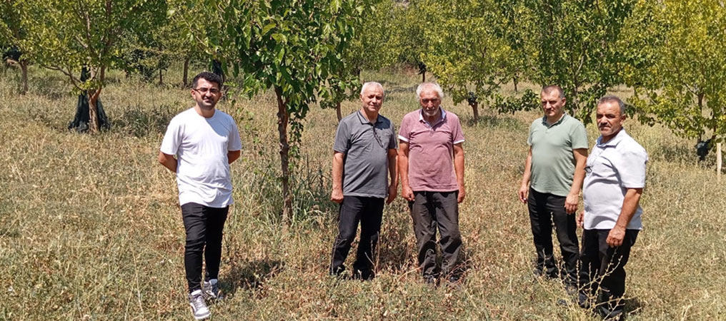 Kemaliyeli Öğretmen 19 Bin Ağacı Toprakla Buluşturdu