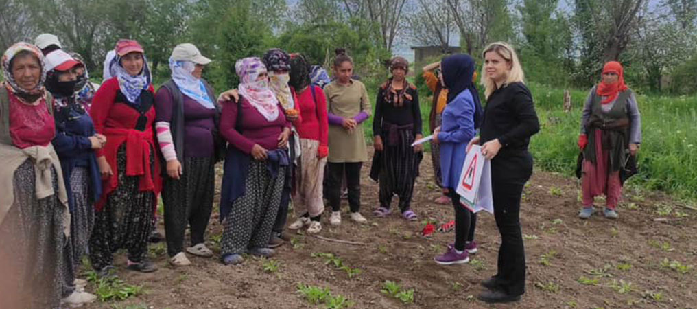 Kene Hakkında Bilgilendirme Devam Ediyor