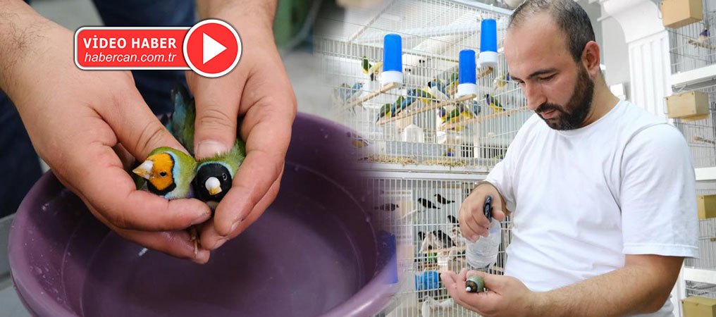 Kuşları Strese Girmemeleri İçin Günde 2 Kere Banyo Yaptırıyor 