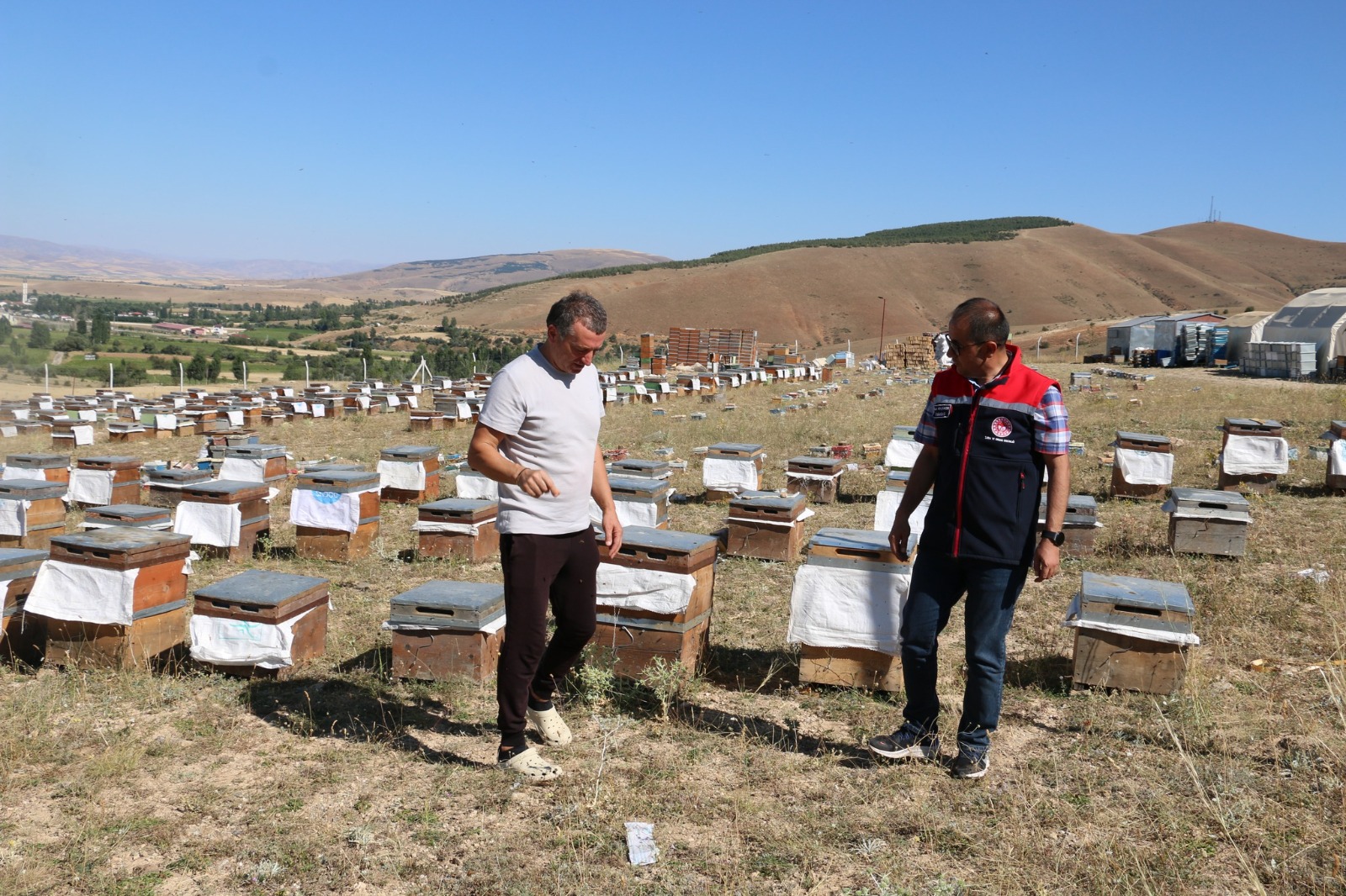 Erzincan’da 1200 Kovanıyla Üretime Destek Sağlıyor