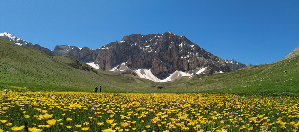 İsviçre Alperi Değil, Munzur Dağı'nda ki Merg Yaylası